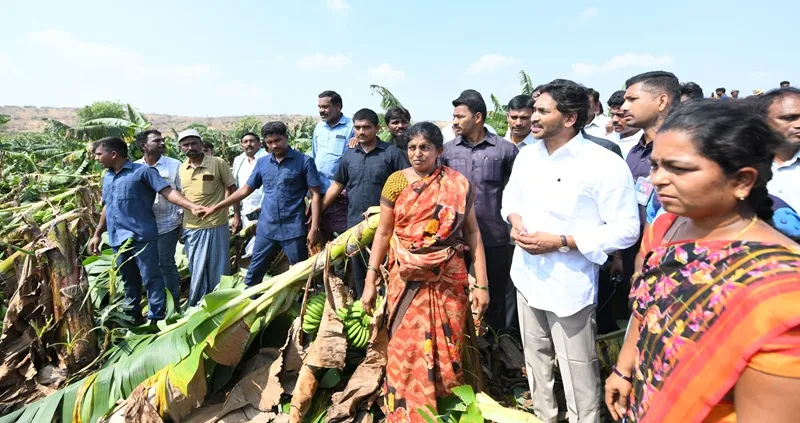 తుఫాన్‌తో రైతులకు భారీ నష్టం.. కూటమి ప్రభుత్వంపై వైఎస్ జగన్ తీవ్ర విమర్శలు!